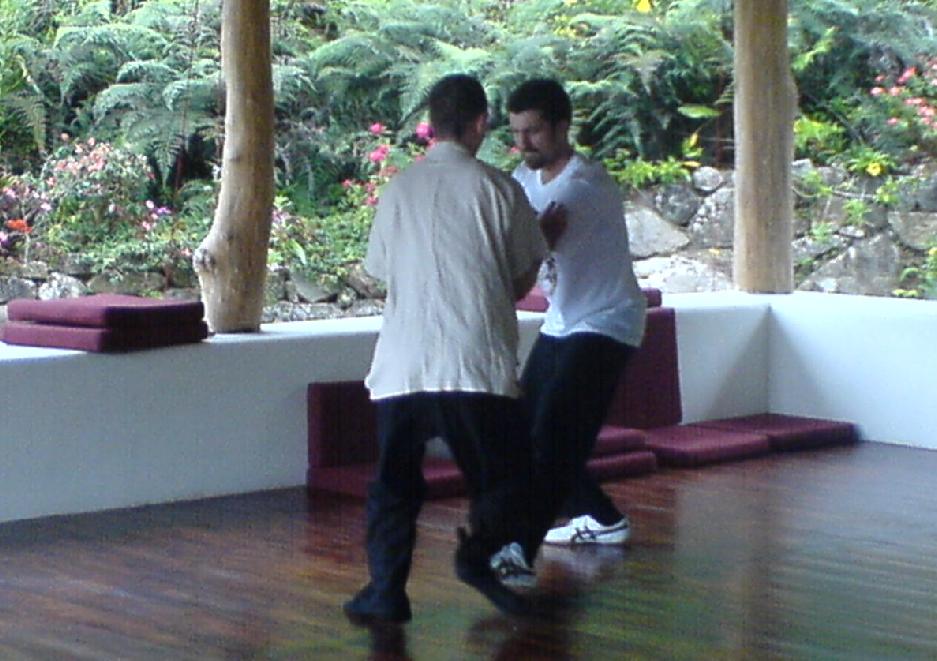 Taijiquan Sparring