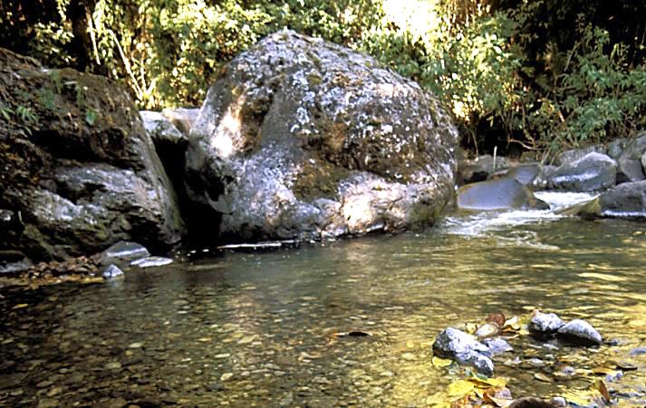 Bubble in a Stream