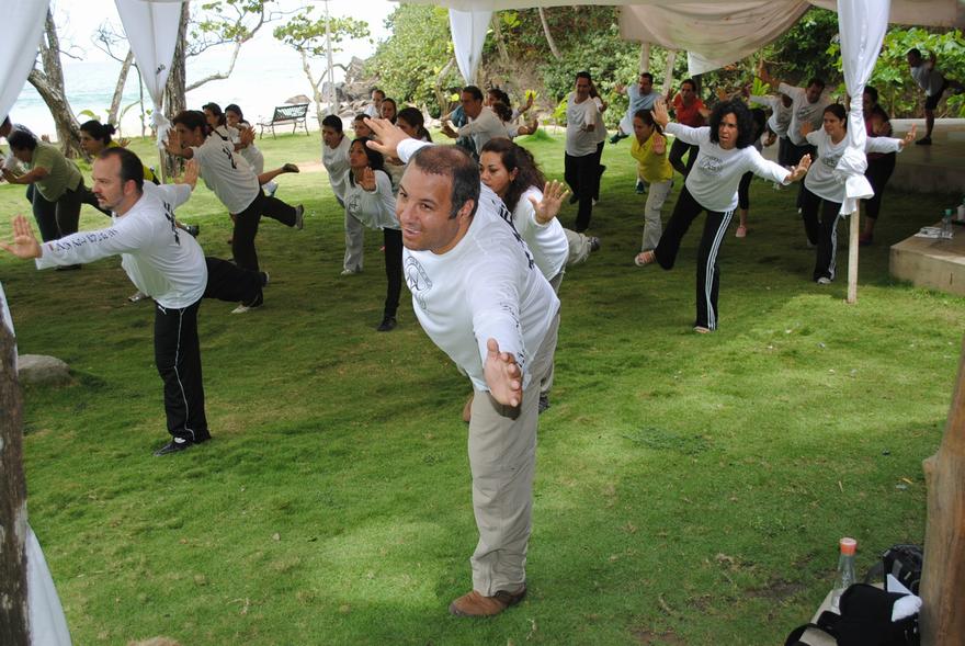 Shaolin chu kung, qigong