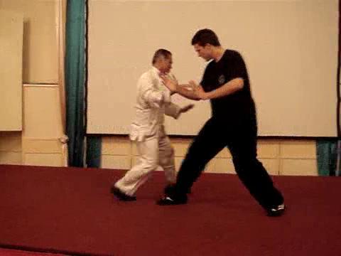 Wahnam Taijiquan