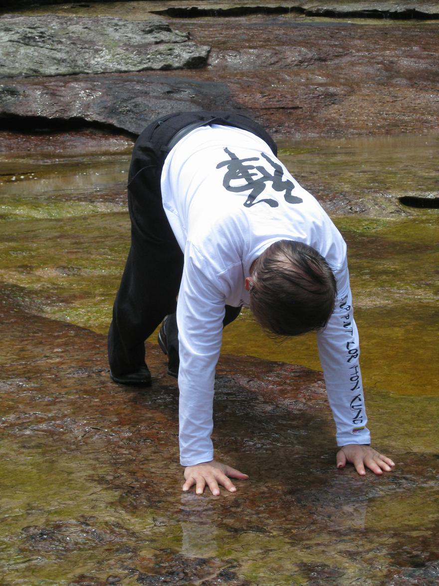 Shaolin chi kung, qigong