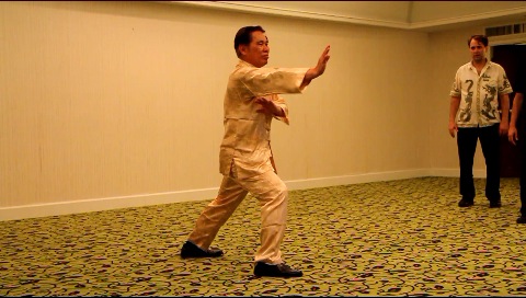 tai chi chuan