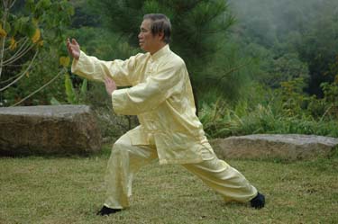 taijiquan, tai chi chuan