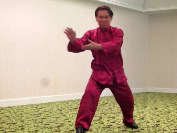 wahnam tai chi chuan, taijiquan