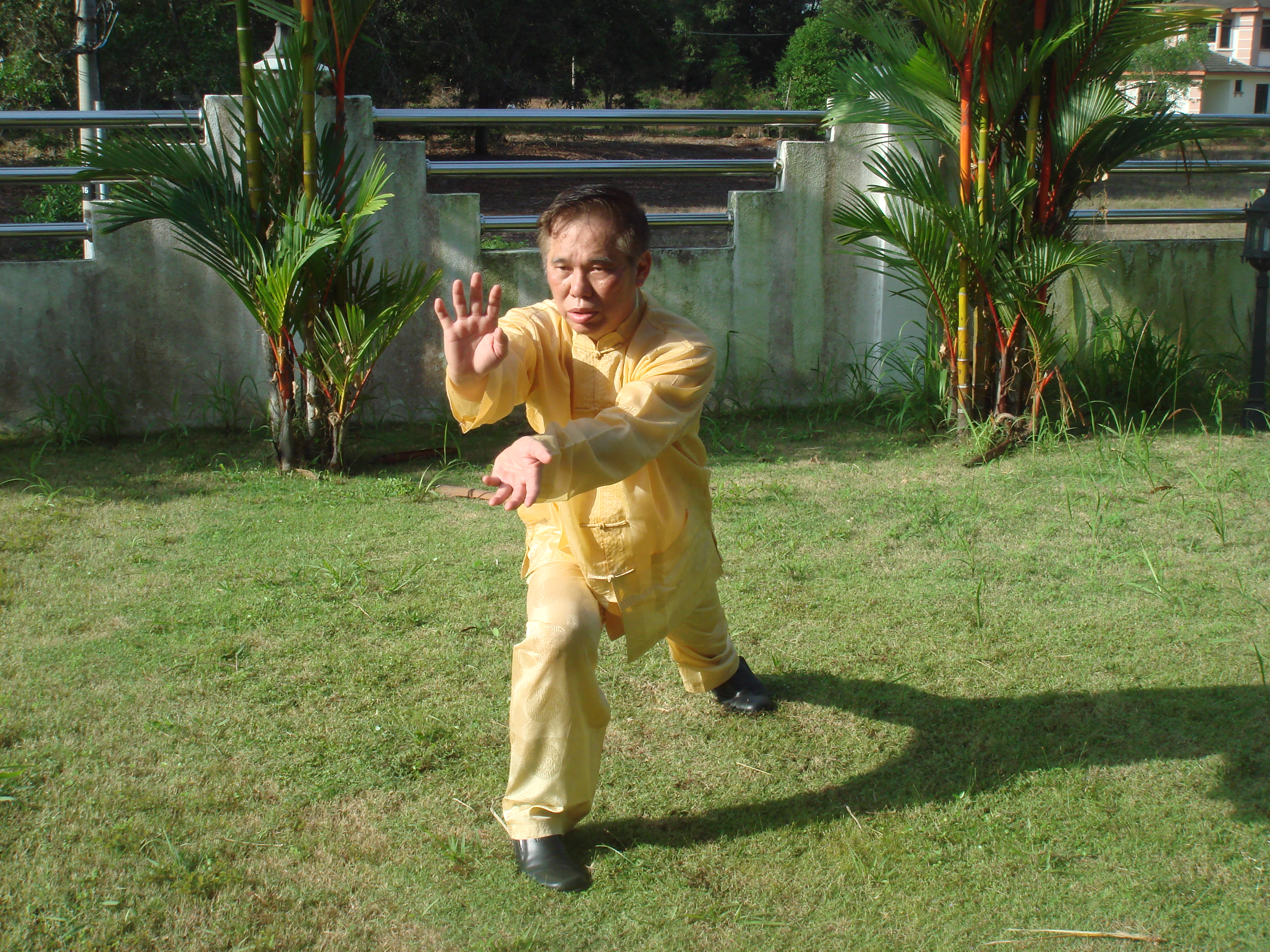 Shaolin Kung Fu