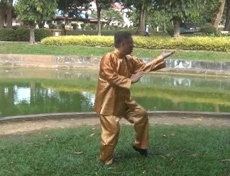 Xingyiquan, Hsing Yij Kungfu