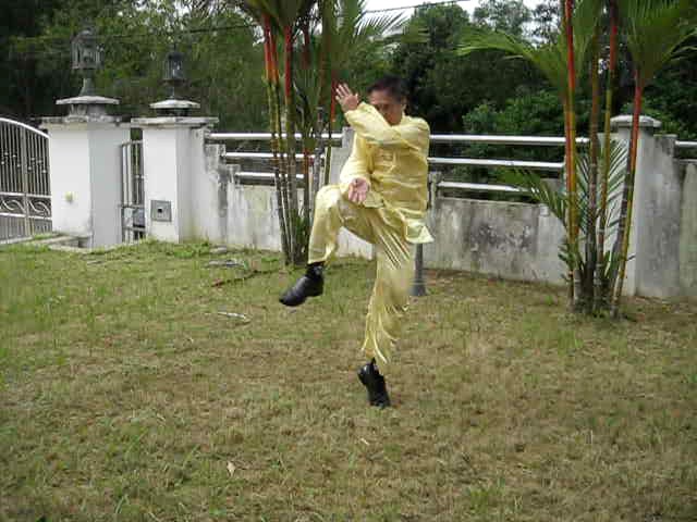 seven-star-kick