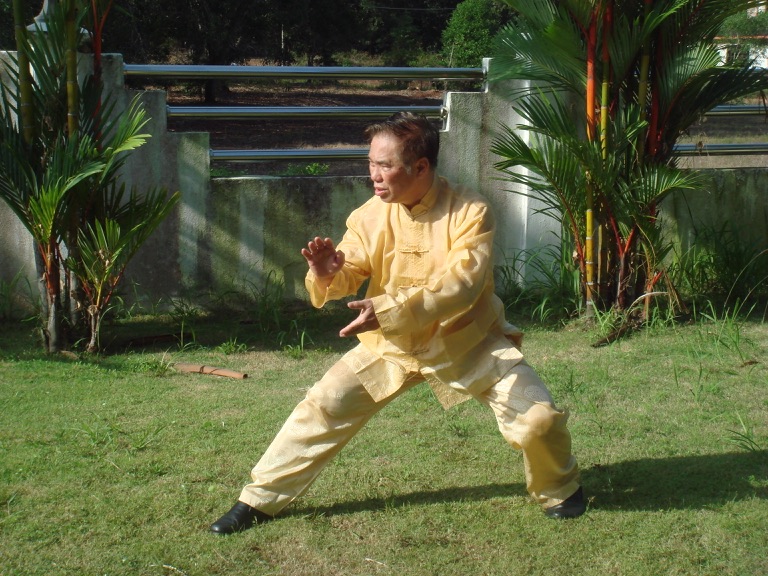 Taijiquan