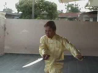 kungfu weapons