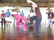 Wahnam Taijiquan