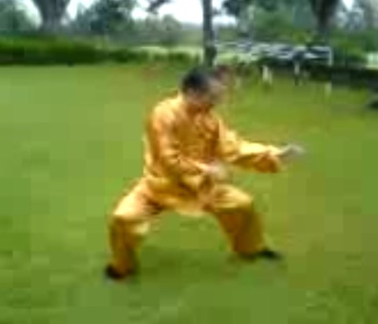 Wahnam Taijiquan