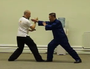 Wahnam Taijiquan