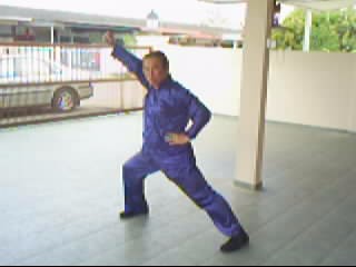 Chen Style Taijiquan