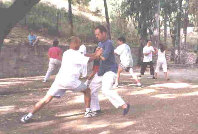 Taijiquan Combat Applicationl