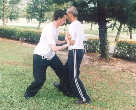 Taijiquan Pushing Hands