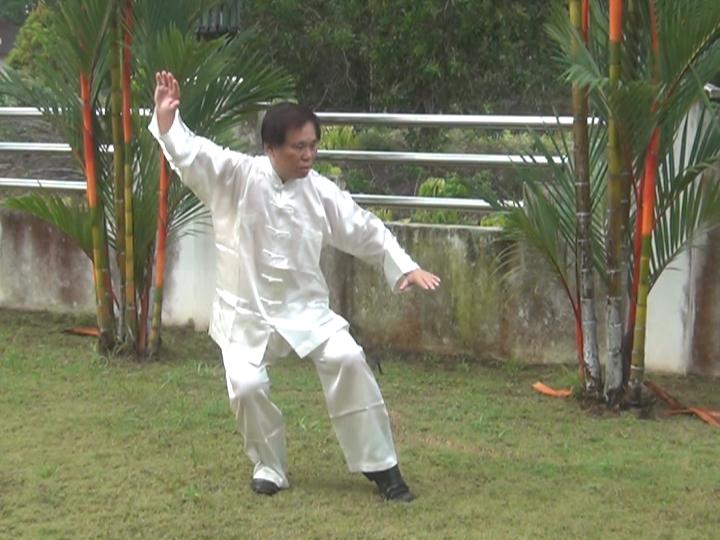 Yang Style Taijiquan