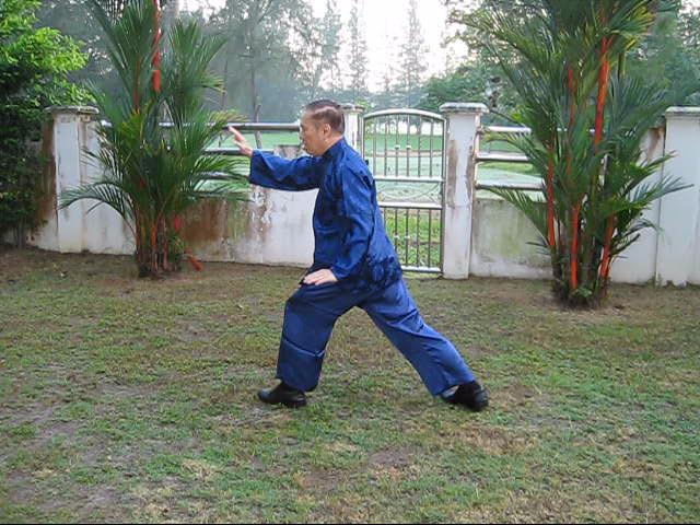 Wudang Taijiquan