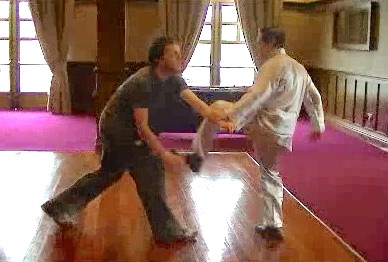 Taijiquan