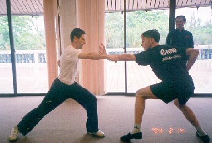 kungfu sparring