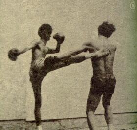 Siamese Boxing