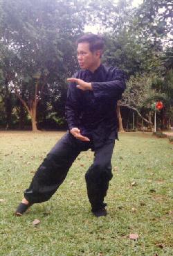 Taijiquan