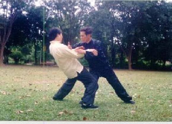 Taijiquan