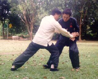 Taijiquan Shoulder Throw