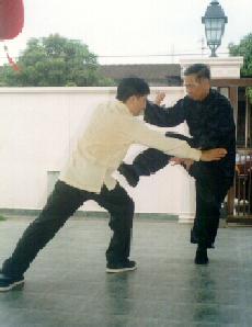 kungfu sparring