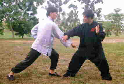 Taijiquan combat