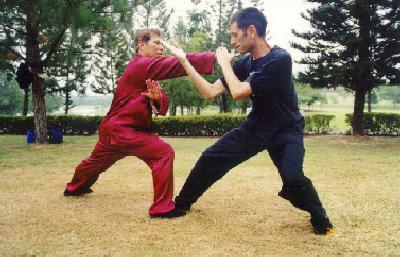 Taijiquan combat