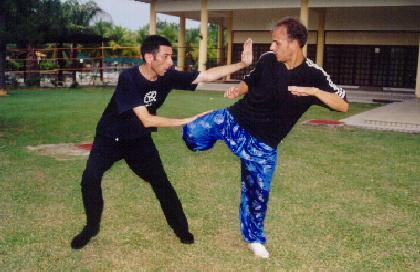 Combat Application of Taijiquan