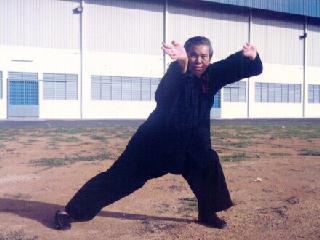 Shaolin Kungfu