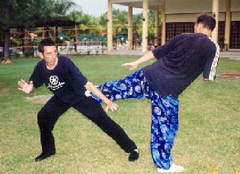 Taijiquan Combat application