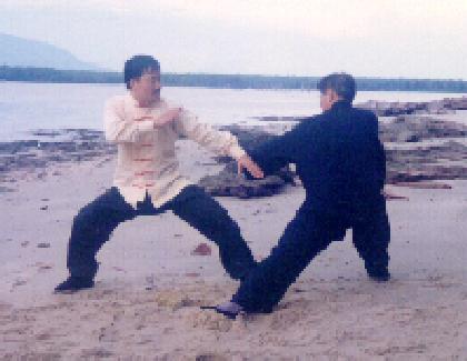 Shaolin Combat Application