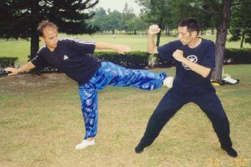 Taijiquan Sparring