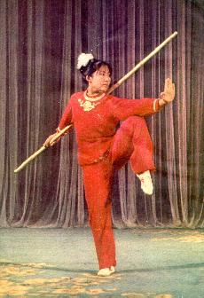 Wushu Staff