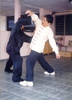 Flowing aspect of Taijiquan