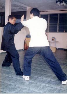 Flowing aspect of Taijiquan