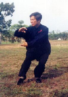 Shaolin Kungfu