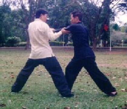 Taijiquan combat