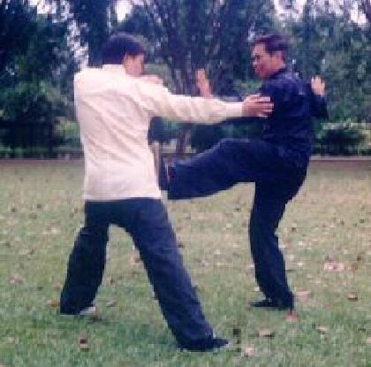 Taijiquan combat