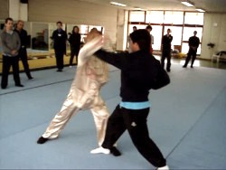 Shaolin Kung Fu