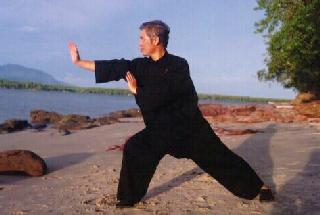 Chen Style Taijiquan