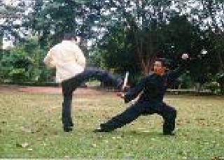 Taijiquan