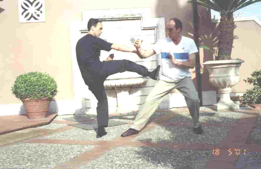 Taijiquan Striking Hands