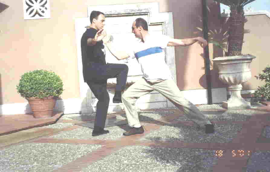 Taijiquan Striking Hands