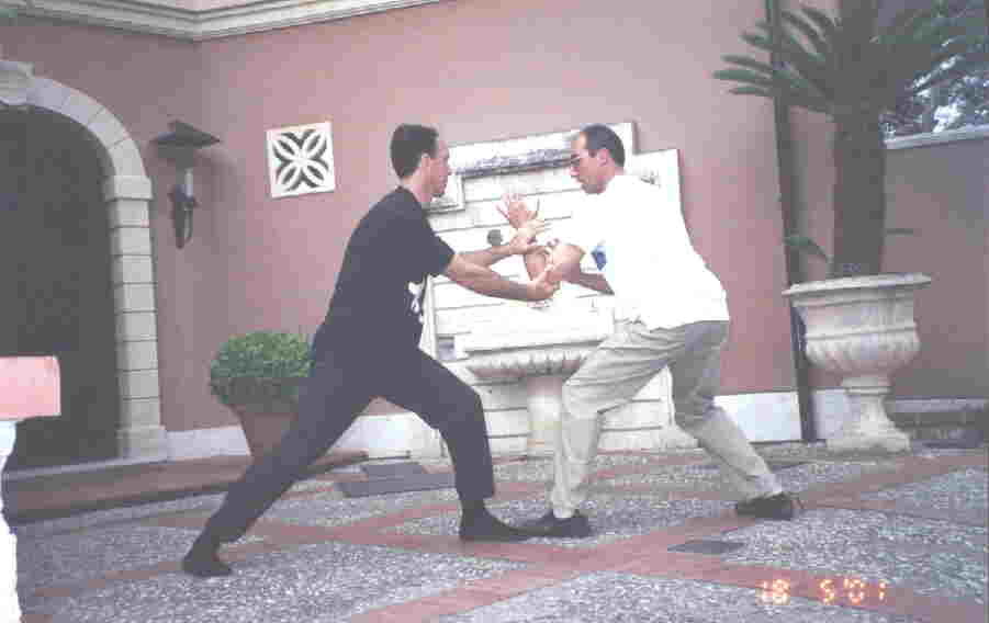 Taijiquan Pushing Hands