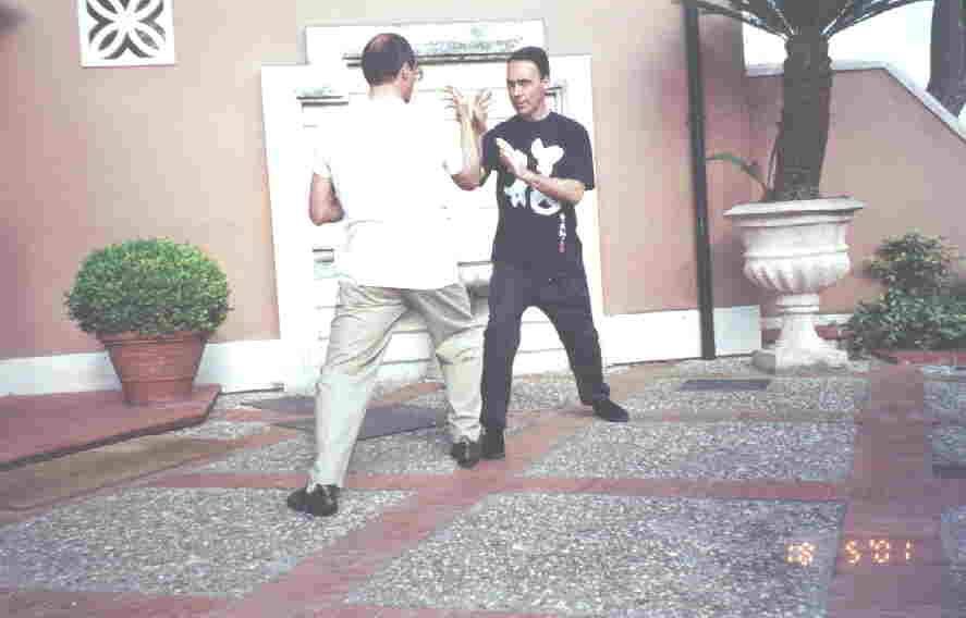 Taijiquan Pushing Hands