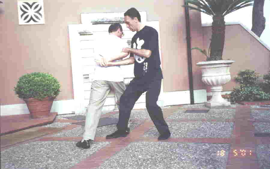 Taijiquan Pushing Hands