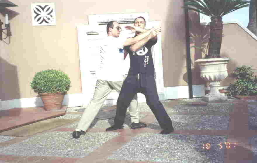 Taijiquan Pushing Hands